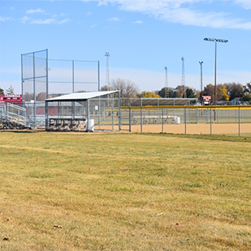 Cardinal Field